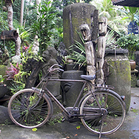 Photo de Bali - Balade, Garuda et spectacle